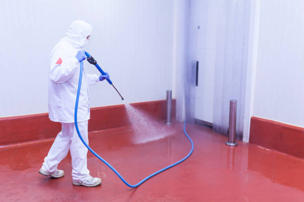 Best Window and Screen Pressure Cleaning in Robinhood, MS
