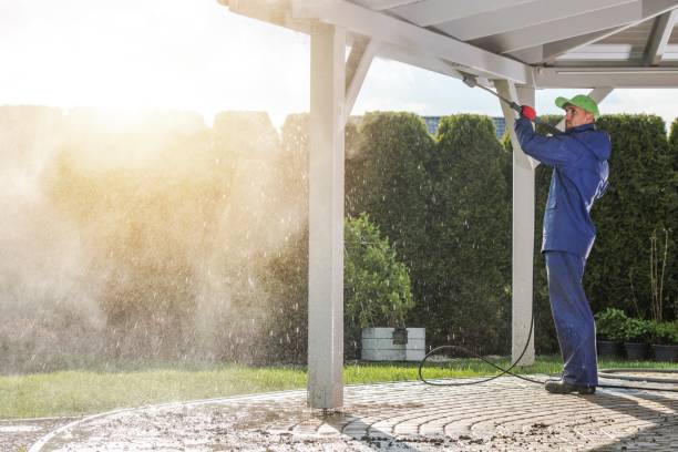 Best Vinyl Siding Pressure Washing in Robinhood, MS